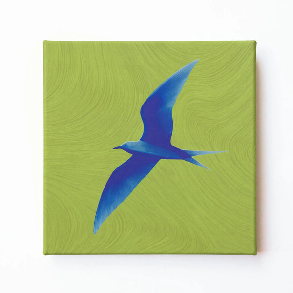 Blue bird nature wall art print by RoomFruit, soaring bird on lime green square printed canvas, Australian made