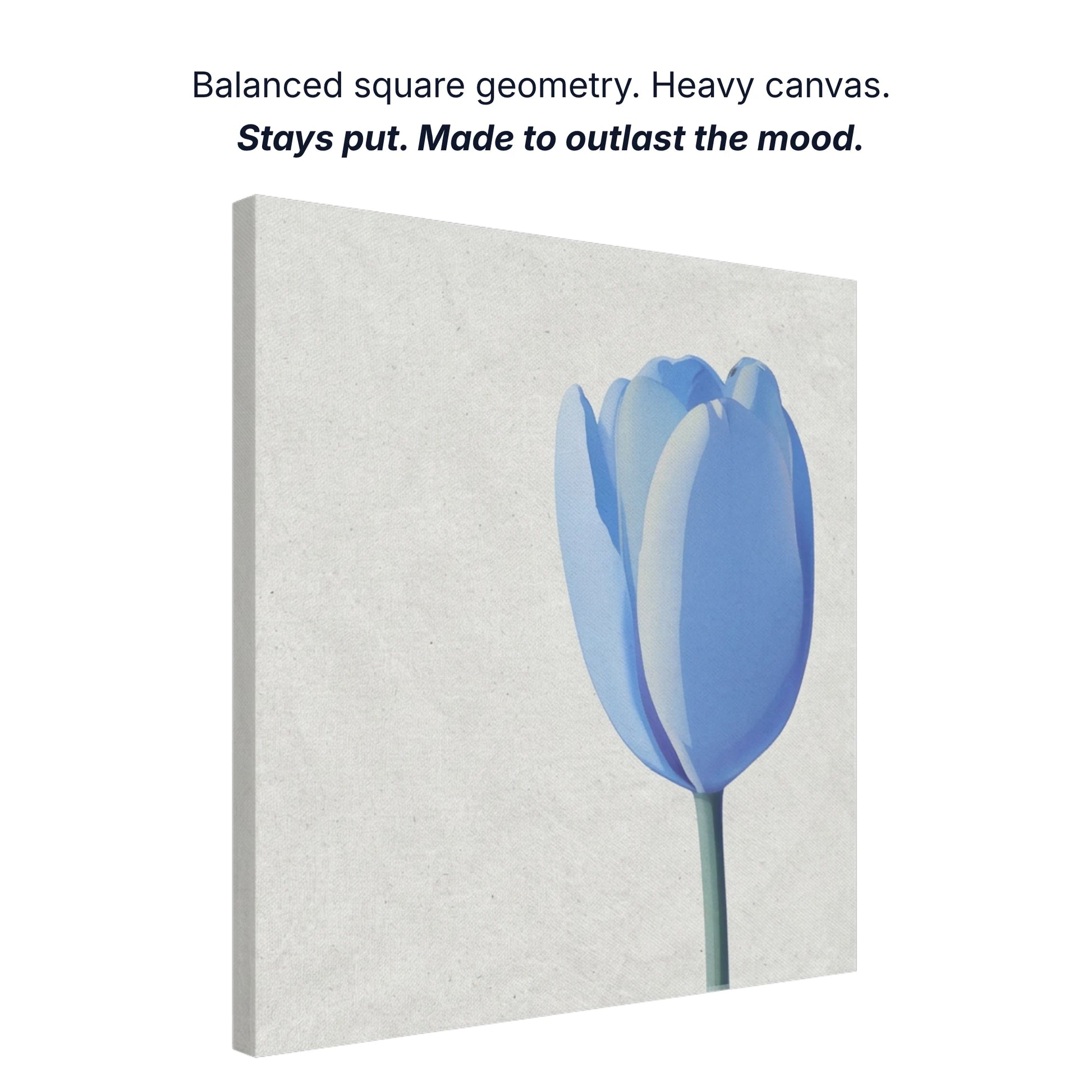 Ready to hang canvas wall art showing balanced square geometry, heavy canvas construction, gallery quality