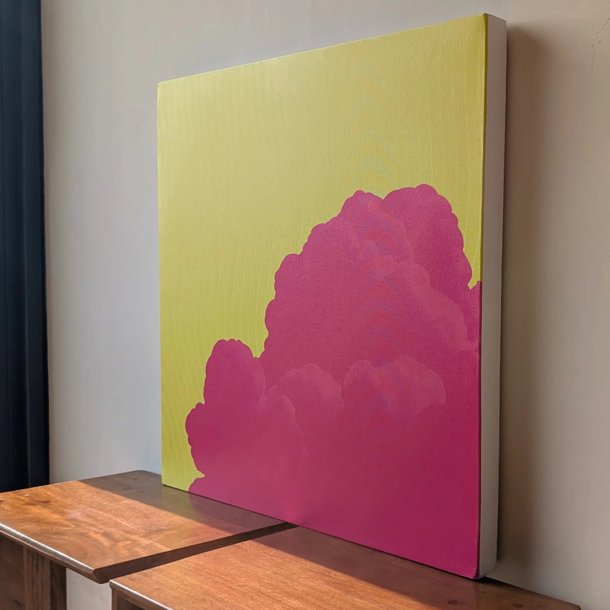 Canvas print displayed in bright natural light showing color durability