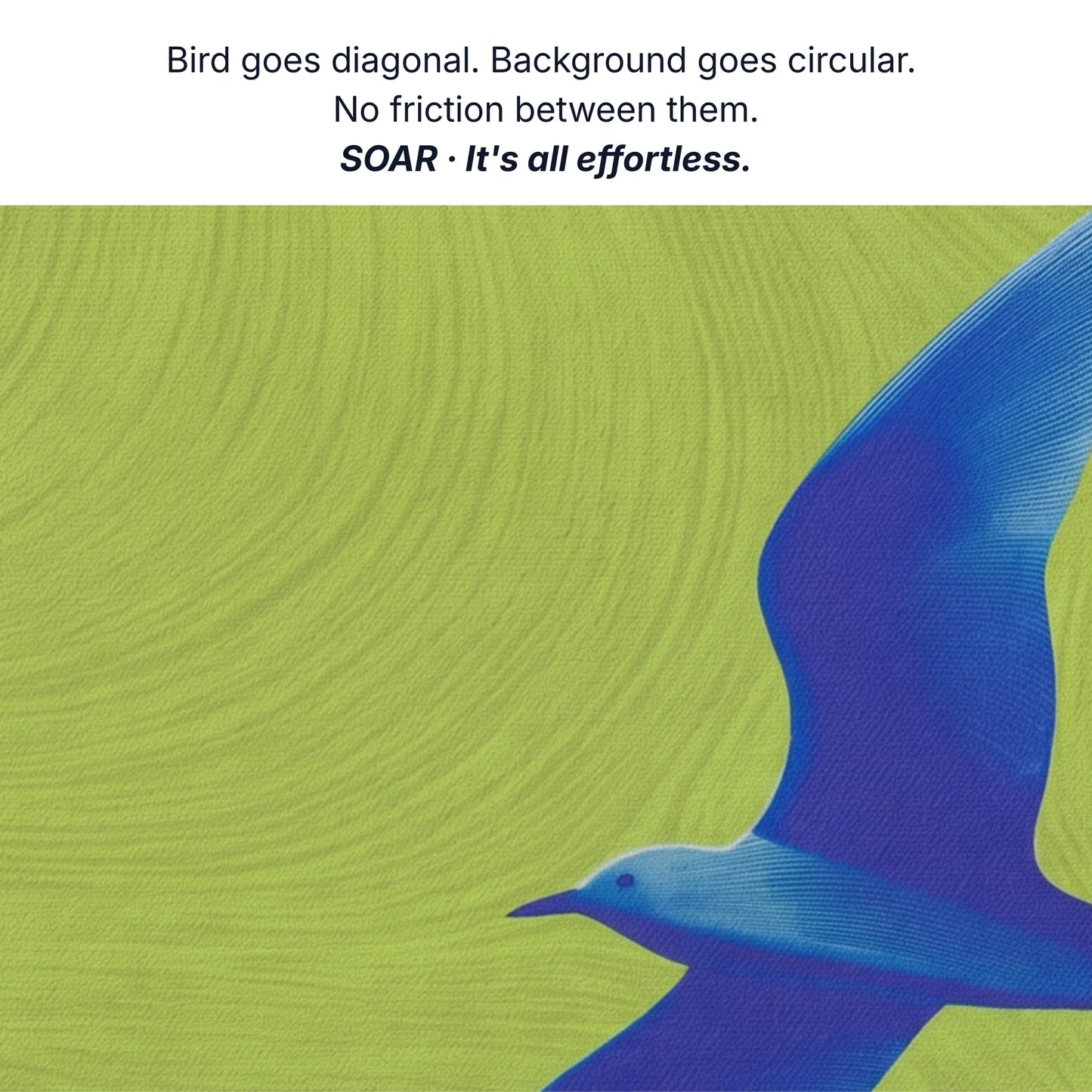 Wall art for a fresh start, bird goes diagonal background goes circular, no friction between them, bird canvas detail by RoomFruit